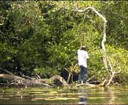 Fr die Menschen ist das Leben an der New River Lagune hart und entbehrungsreich.
