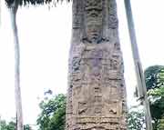 Stele F aus Quirigua (761 AD) mit dem 14. Herrscher Cauac Sky. Mit einer Hhe von 7,20 m ist sie die zweithchste Stele Quiriguas, sie wird nur noch von Stele E (7,60 m ) bertroffen.